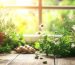 infusion digestiva plantas